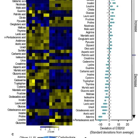 Differential Abundance Of Metabolites In Eib202 And Δfnr A Heat Map Download Scientific