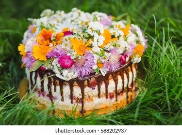 Naked Cake Decorated Flowers On Grass Stock Photo Shutterstock