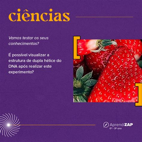 Experimentando Extra O Do Dna Do Morango Aprendizap