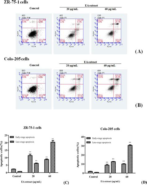 Apoptosis As Detected Using Flow Cytometry A Effects Of The Ea