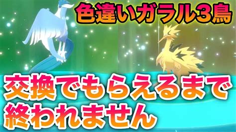 配布限定の色違いガラル3鳥を交換でもらえるまで終われません【冠の雪原ポケモン剣盾有料dlc】 ポケモン関連情報のまとめ動画