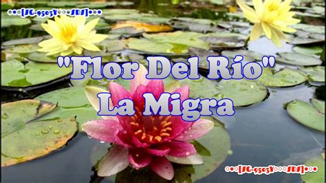 Flor Del Rio La Migra Letra Hd A Youtube