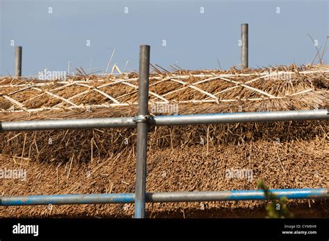 Thatching methods hi-res stock photography and images - Alamy