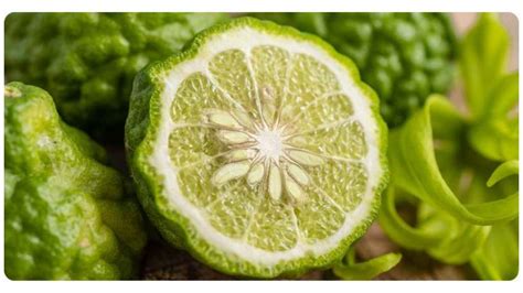 Citrus Bergamot Vs Statins Similarities And Differences Explained The