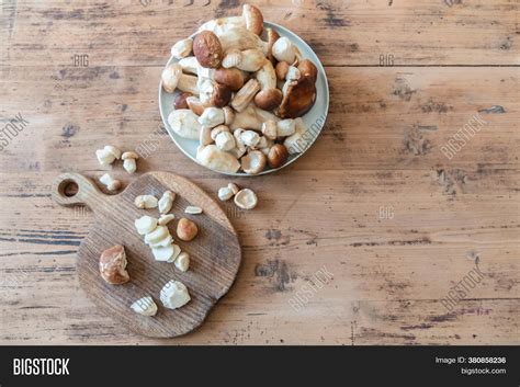 Edible Mushrooms On Image & Photo (Free Trial) | Bigstock