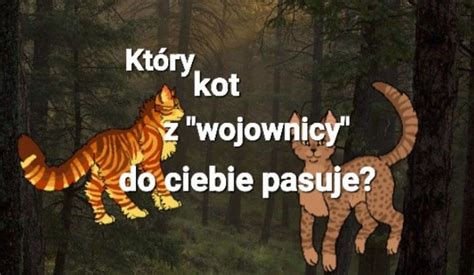 Kt Ry Kot Z Wojownik W Najbardziej Do Ciebie Pasuje Samequizy