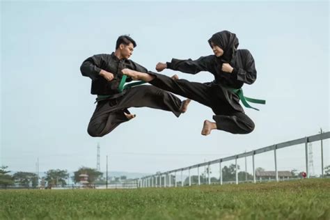 Budaya Pencak Silat Seni Bela Diri Khas Nusantara Warta Pesona