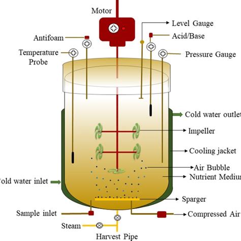 Batch Reactor Is A Closed Optimised System Having Sparger Temperature