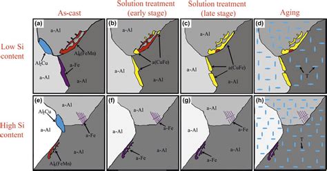 Schematics Of The Microstructure Evolution Of Alloys With Different Si