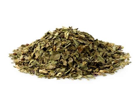 Green Dry Vana Tulsi Leaves Loose At Rs 239kg In Berhampore Id