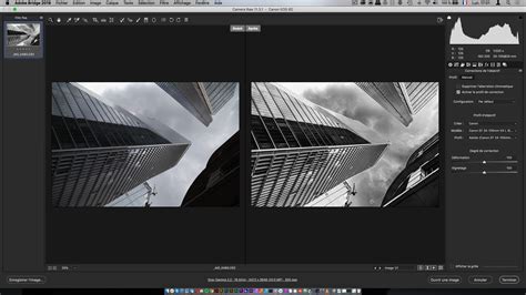 Tuto Camera Raw La Formation Complète Avec Camera Raw Sur