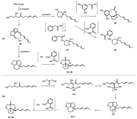 Marine Drugs Free Full Text Unusual Secondary Metabolites From The