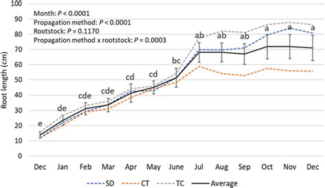 Correcting Misconceptions in Rootstock Propagation - CID Bio-Science