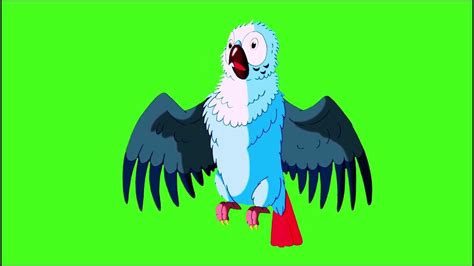 Free Use Yawning Parrot Effect Green Screen Green Background Free