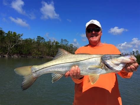 Naples Marco Island Florida Inshore Fishing Charters Naples Marco