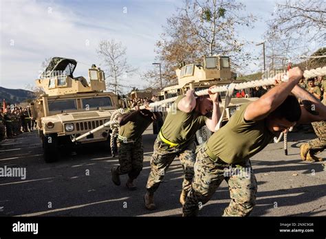 Us Marines With 11th Marine Regiment 1st Marine Division Pull A