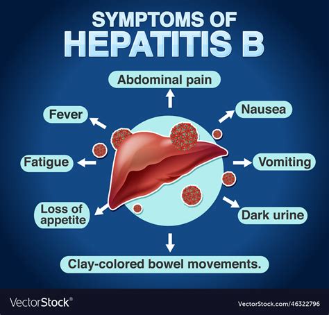 Informative Symptoms Of Hepatitis B Royalty Free Vector