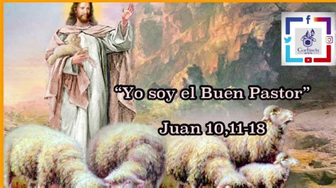 Yo Soy El Buen Pastor” Evangelio De Juan 1011 18 Youtube