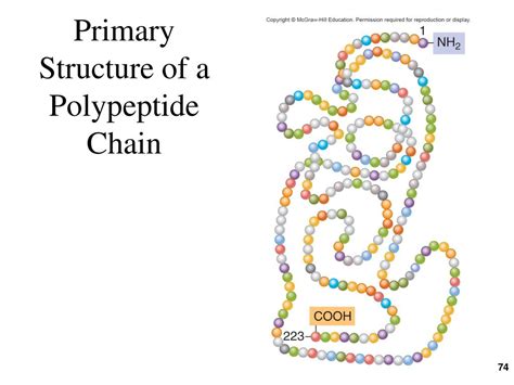 Ch 2 Molecular Interactions Ppt Download