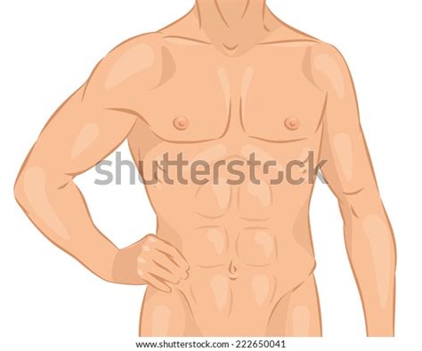 Ilustraci N Vectorial De Un Cuerpo Masculino Vector De Stock Libre De