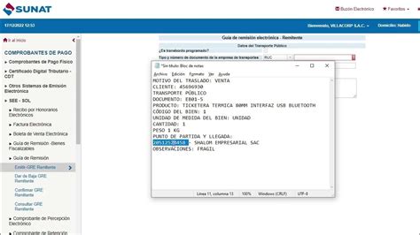 Guía De Remisión Electrónica Desde El Portal Sunat Sistema De