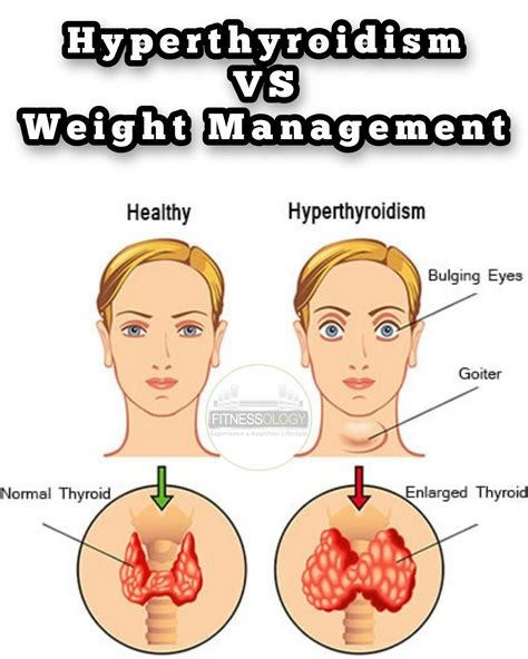 Insulin and Potassium (How Does Insulin Work?) – Fitnessology