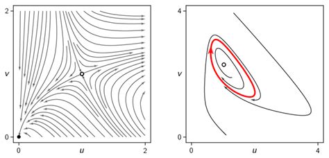 Visualisation Of The Phase Space Flow For Two Variable Dynamic Systems