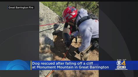 Dog Rescued After Falling Off Cliff At Monument Mountain In Great