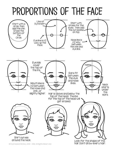Facial Proportions Drawing Handout Worksheets Library