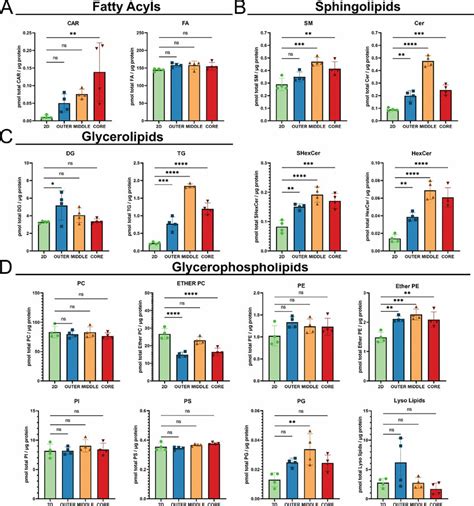 Lipid Subclass Abundance In 2d Monolayer Cultures And Different Regions Download Scientific