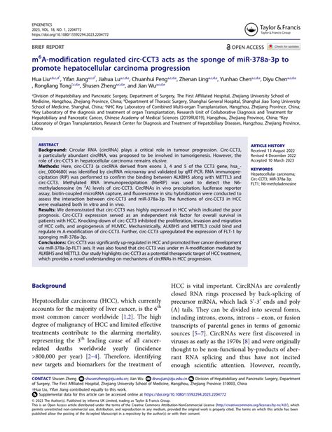 PDF M 6 A Modification Regulated Circ CCT3 Acts As The Sponge Of MiR