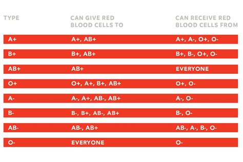 Blood Type Donation Chart