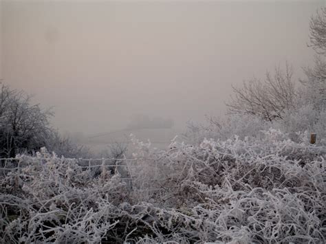 North Stoke: Hoar Frost