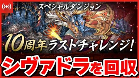 【パズドラドラゴン縛り】激アツのシヴァドラ配布10周年ラストチャレンジをやるぞー！ │ パズドラ