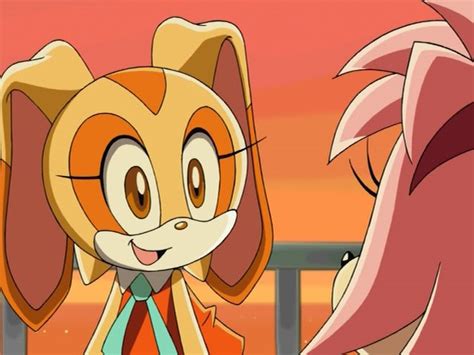 Cream And Amy Sonic The Hedgehog Photo 23496572 Fanpop