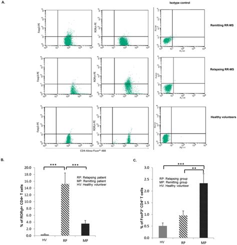 Flow Cytometry Of Foxp Cd T Cells And Ror T Cd T Cells Cd T