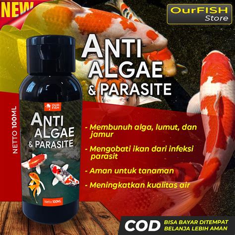 Jual Anti Algae Dan Parasit Obat Lumut Alga Remover Kolam Dan Aquarium