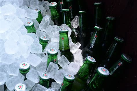 Heineken Bottle Filled Ice Bottles Beer Ice Cubes Beer Bottle