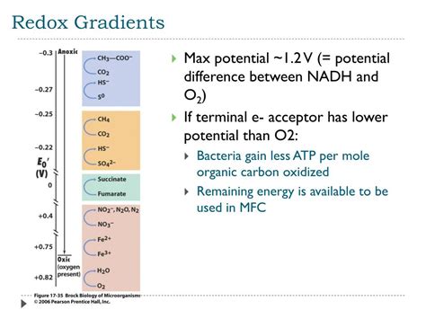 Ppt Microbial Fuel Cells Powerpoint Presentation Free Download Id 3105128