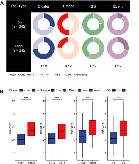 Frontiers Identification Of Molecular Subtypes And A Prognostic Signature Based On Chromatin