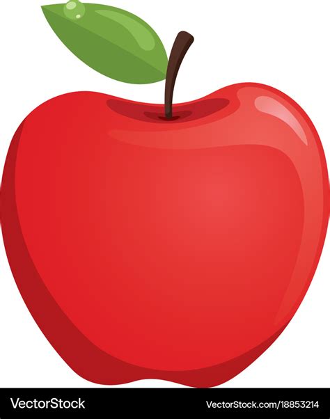 Apple Royalty Free Vector Image - VectorStock