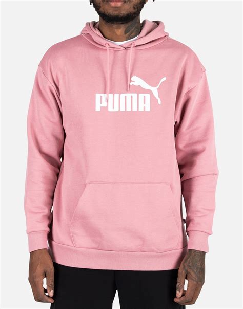 Puma Essentials Logo Hoodie Dtlr