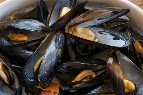 La zuppa di cozze napoletana del giovedì santo si fa così c è chi