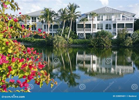 Florida Waterfront Community Stock Image - Image of living, tree: 22889401