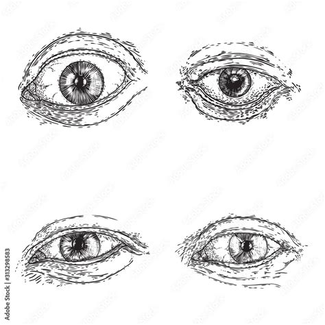 Eye Design Drawing