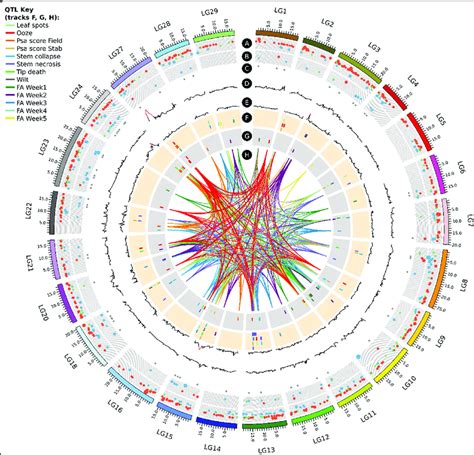 Circos Plot Of Quantitative Trait Loci Qtls For Various Phenotypes In