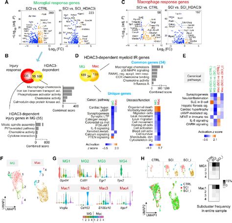 Microglia And Macrophages Display Distinct Transcriptional Responses Download Scientific