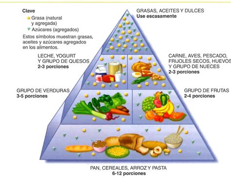 Funciones De Las Vitaminas En El Cuerpo Humano