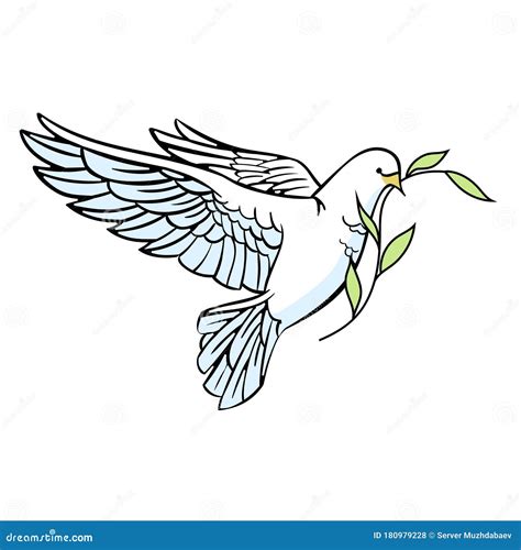 White Dove with an Olive Branch in Its Beak. Christian Plot. Isolated ...