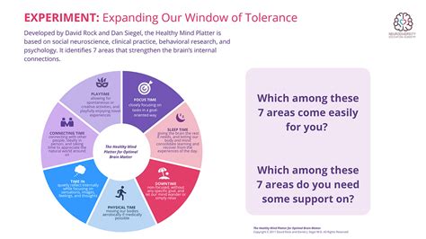 Expanding Our Window Of Tolerance Using The Healthy Mind Platter